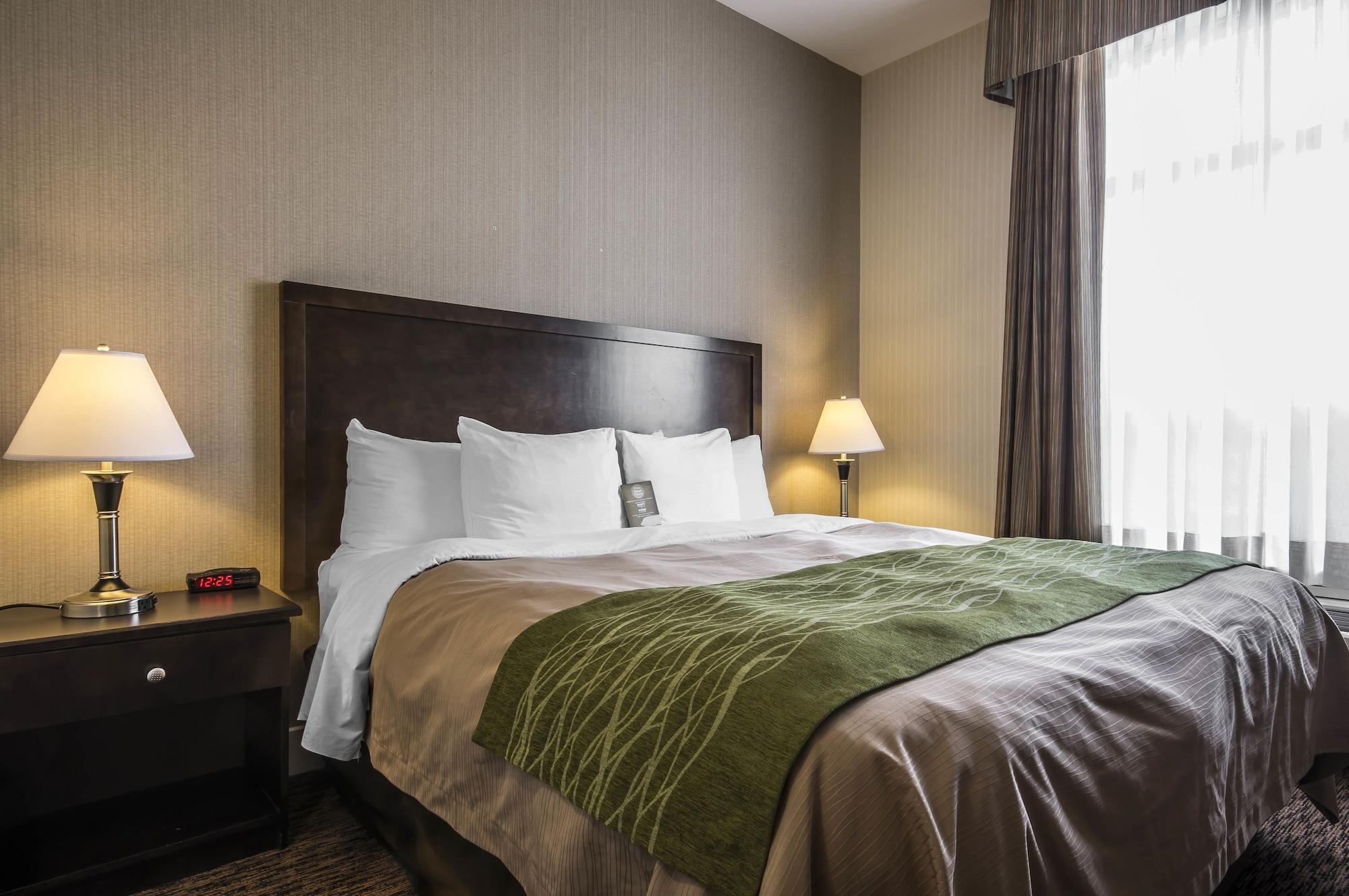 Comfort Inn & Suites Суррей Экстерьер фото